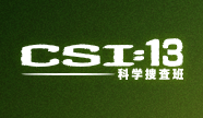 CSI:　Webサイト（デザイン）